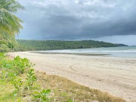  Terrain for sale in Aborlan, Palawan, Aborlan