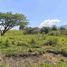  Land for sale in Tulua, Valle Del Cauca, Tulua