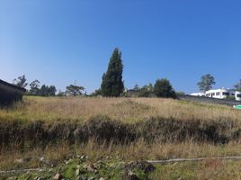  Land for sale in Conocoto, Pichincha, Conocoto
