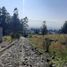  Land for sale in Conocoto, Pichincha, Conocoto