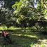  Land for sale in Dauin, Negros Island Region, Dauin