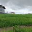  Land for sale in Calamba City, Calabarzon, Calamba City