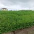  Land for sale in Calamba City, Calabarzon, Calamba City