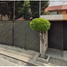 Maison 3 chambre à vendre à Coyoacan, Mexico City, Coyoacan