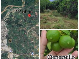  Terreno (Parcela) en venta en Sullana, Piura, Sullana, Sullana