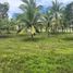  Land for sale in Central Visayas, Cebu City, Cebu, Central Visayas