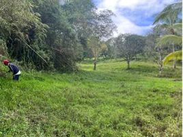  Land for sale in Central Visayas, Cebu City, Cebu, Central Visayas