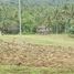  Land for sale in Cebu Central Visayas, Dumanjug