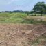  Land for sale in Samborondon, Guayas, Samborondon, Samborondon