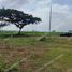  Land for sale in Samborondon, Guayas, Samborondon, Samborondon