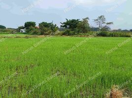  Land for sale in Samborondon, Guayas, Samborondon, Samborondon