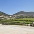  Terreno (Parcela) en venta en Santa Catarina, Nuevo León, Santa Catarina