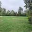 在Lurin, Lima出售的 土地, Lurin