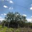  Land for sale in Muzquiz, Coahuila, Muzquiz