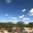  Land for sale in Muzquiz, Coahuila, Muzquiz