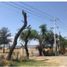  Terreno (Parcela) en venta en Juanacatlan, Jalisco, Juanacatlan