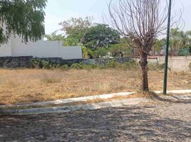 在Colima出售的 土地, Colima, Colima