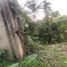  Terreno (Parcela) en venta en Cebu City, Central Visayas, Cebu City, Cebu, Central Visayas, Filipinas