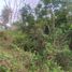  Terreno (Parcela) en venta en Cebu City, Central Visayas, Cebu City, Cebu, Central Visayas, Filipinas