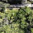  Terreno (Parcela) en venta en Cebu City, Central Visayas, Cebu City, Cebu, Central Visayas, Filipinas