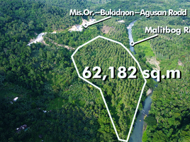  Land for sale in Malitbog, Bukidnon, Malitbog