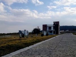  Land for sale in Huamantla, Tlaxcala, Huamantla