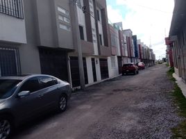Maison 3 chambre à vendre à Toluca, Mexico, Toluca
