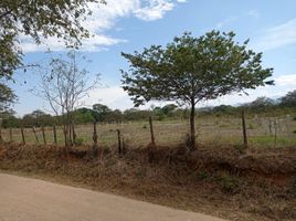  Terreno (Parcela) en venta en Rivera, Huila, Rivera