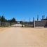  Land for sale in Valparaiso, Casa Blanca, Valparaiso, Valparaiso