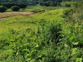  Terreno (Parcela) en venta en Dagua, Valle Del Cauca, Dagua