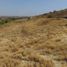  Land for sale in Montecristi, Manabi, Montecristi, Montecristi