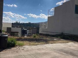  Grundstück zu verkaufen in Morelia, Michoacan, Morelia
