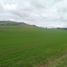  Terrain for sale in Chinchero, Urubamba, Chinchero