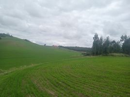  Terreno (Parcela) en venta en Cusco, Chinchero, Urubamba, Cusco