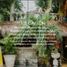 3 Schlafzimmer Haus zu verkaufen in Cozumel, Quintana Roo, Cozumel