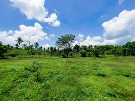  Land for sale in Batangas, Calabarzon, Lipa City, Batangas