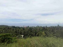  Land for sale in Loon, Bohol, Loon