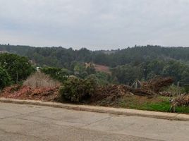  Land for sale in Chile, Vina Del Mar, Valparaiso, Valparaiso, Chile