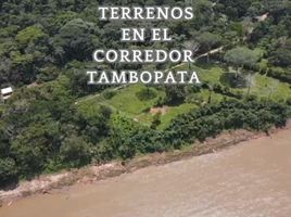  Terrain for sale in Tambopata, Madre De Dios, Tambopata, Tambopata