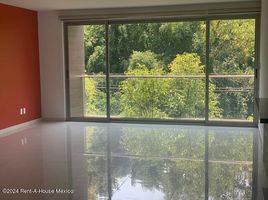 3 Bedroom Apartment for rent in Miguel Hidalgo, Mexico City, Miguel Hidalgo, Mexico City