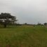  Terreno (Parcela) en venta en Calamba City, Calabarzon, Calamba City, Laguna, Calabarzon, Filipinas