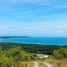 Land for sale in Cebu Central Visayas, Sibonga