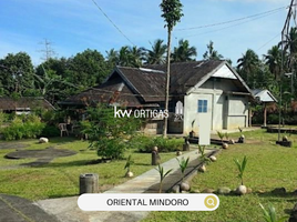  Terrain for sale in Victoria, Oriental Mindoro, Victoria