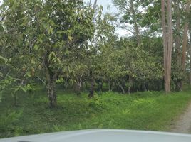  Land for sale in Naranjal, Guayas, Naranjal, Naranjal