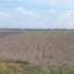  Terreno (Parcela) en venta en Salamanca, Guanajuato, Salamanca