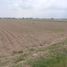  Terreno (Parcela) en venta en Salamanca, Guanajuato, Salamanca