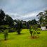 Terreno (Parcela) en venta en Valle De Bravo, México, Valle De Bravo, México, México