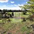  Terreno (Parcela) en venta en Loncoche, Cautín, Loncoche