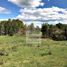  Terreno (Parcela) en venta en Loncoche, Cautín, Loncoche