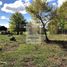  Terreno (Parcela) en venta en Loncoche, Cautín, Loncoche
